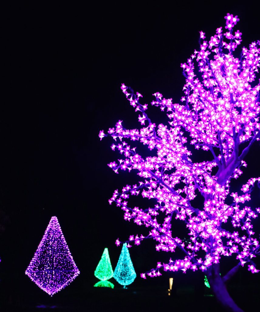 Cheekwood Holiday Lights