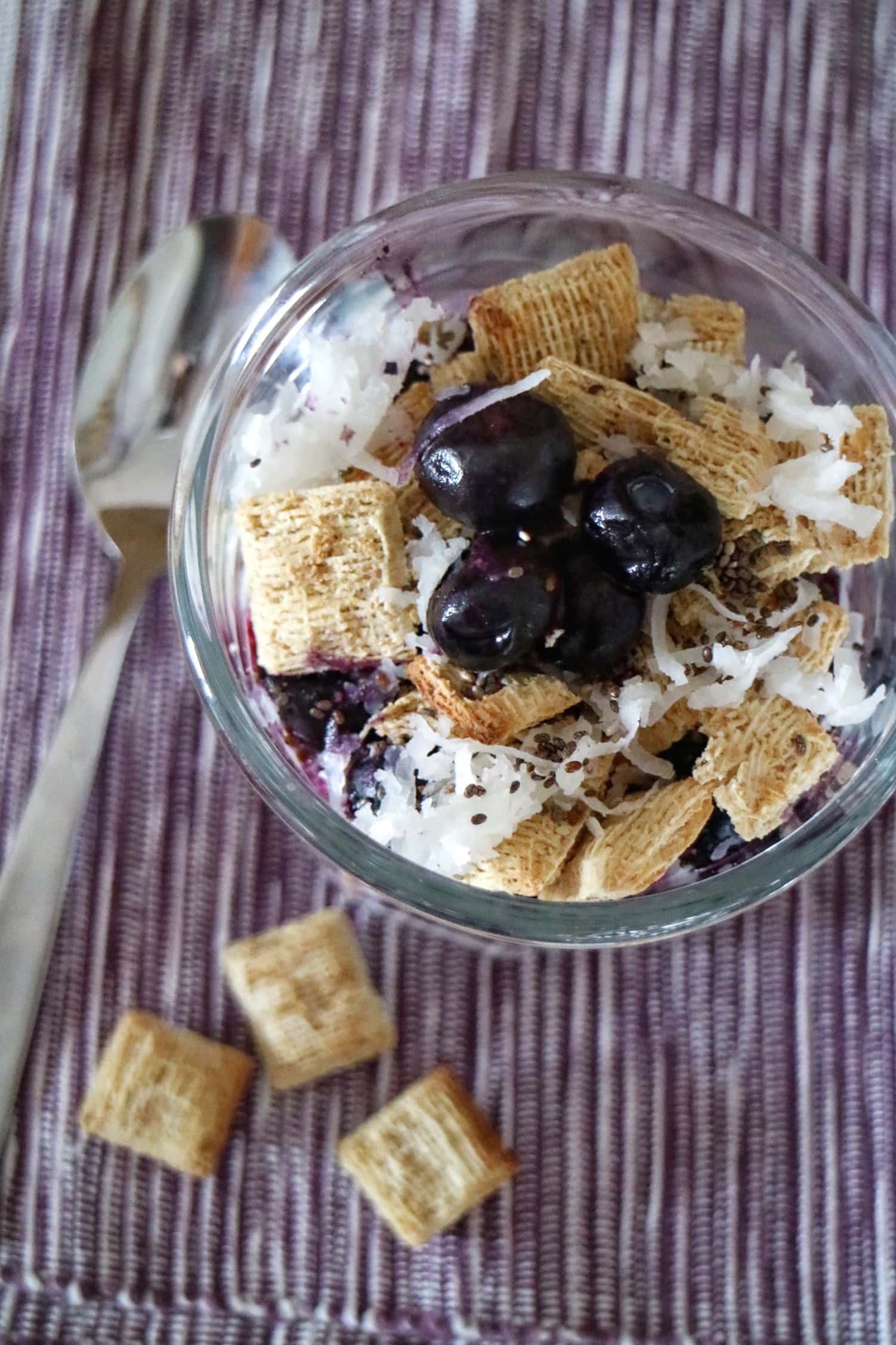 Blueberry Cottage Cheese Parfait » The Nutrition Adventure
