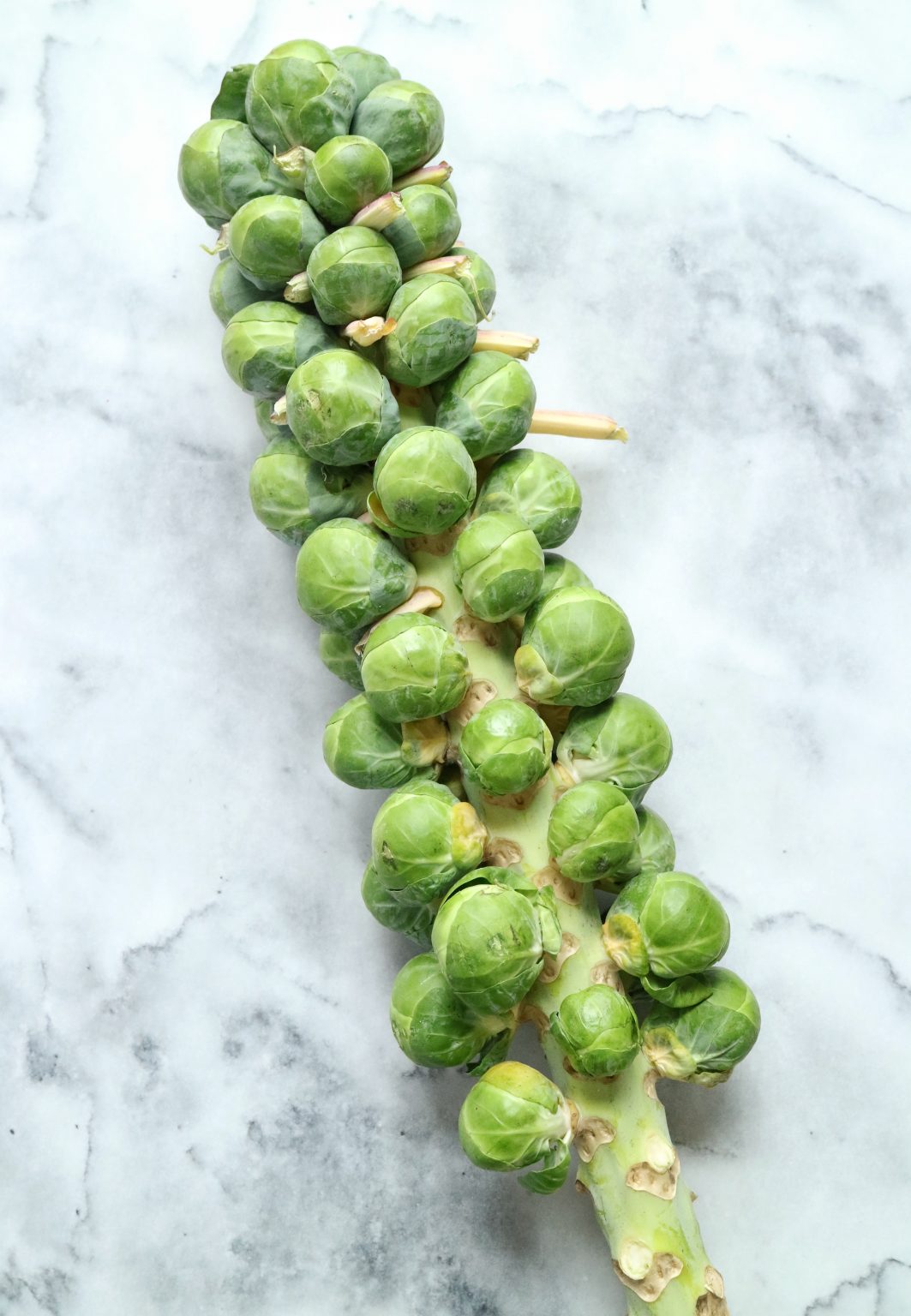 Brussels Sprouts with Pancetta & Parmesan The Nutrition Adventure