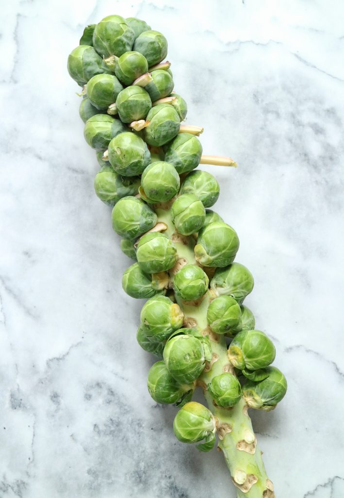 Brussels Sprouts Stalk | The Nutrition Adventure 