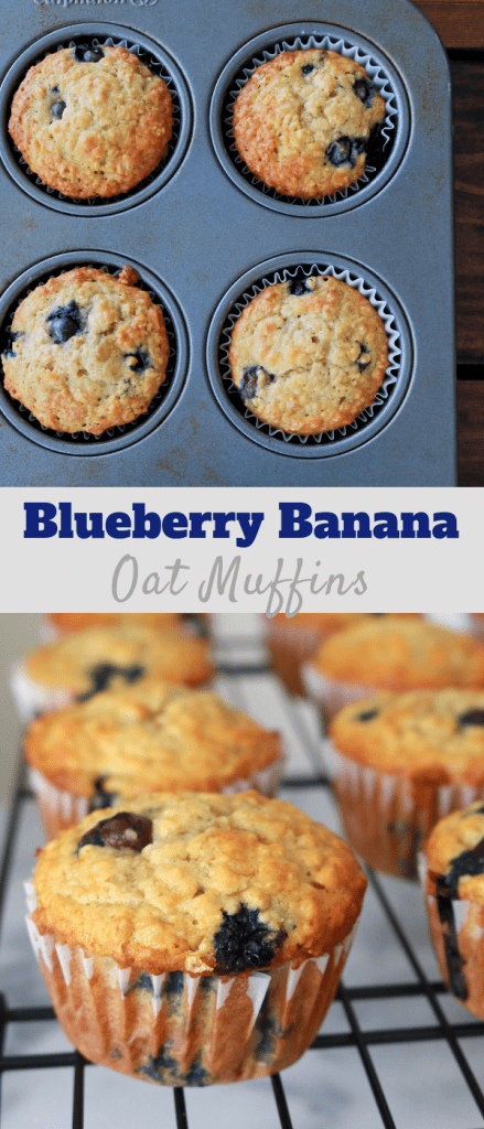 Blueberry Banana Oat Muffins