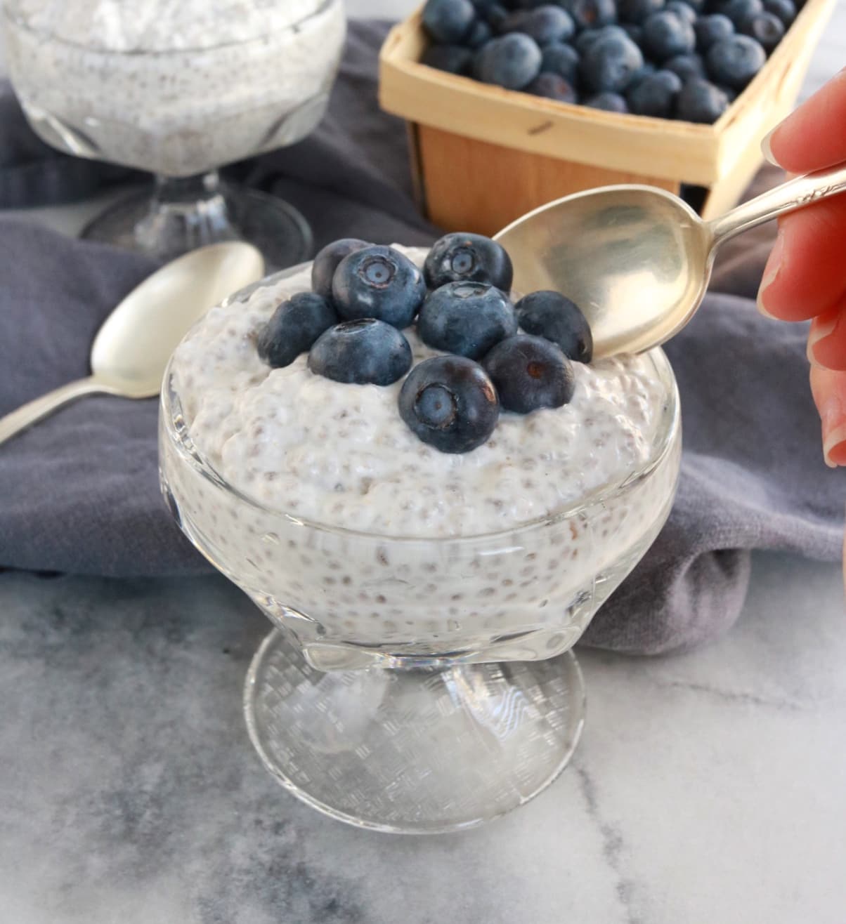 Coconut Chia Pudding with Blueberries