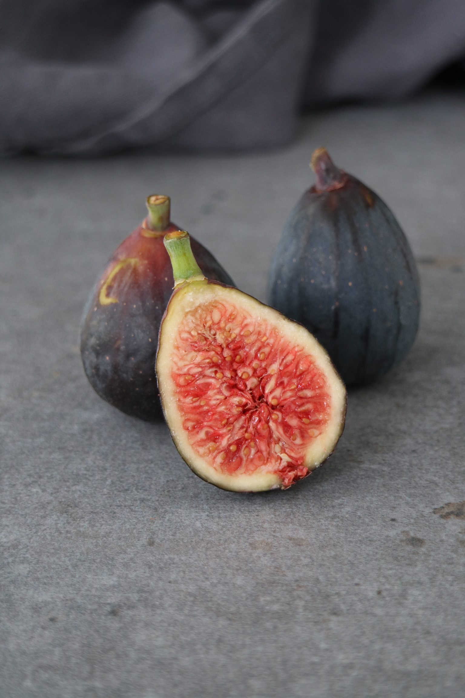 Mission figs » The Nutrition Adventure
