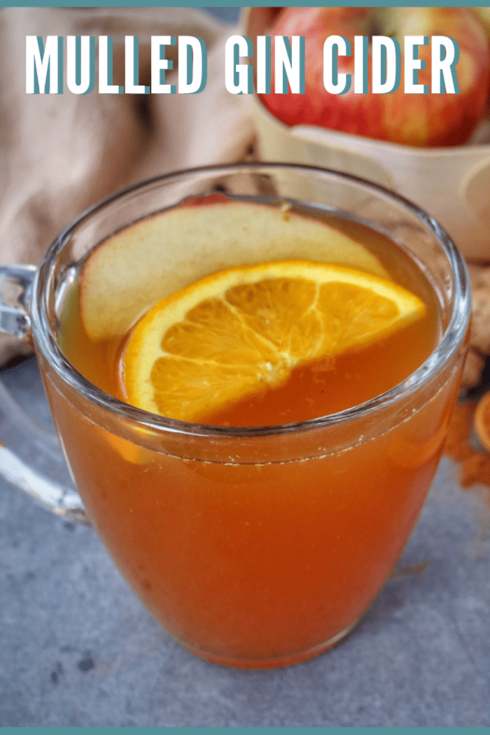 Mulled Gin Cider The Nutrition Adventure